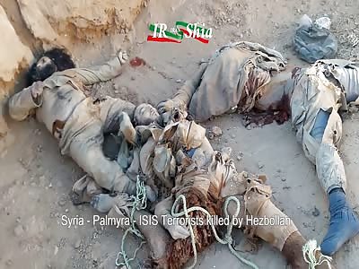 ISIS Terrorists killed by Hezbollah in Palmyra 