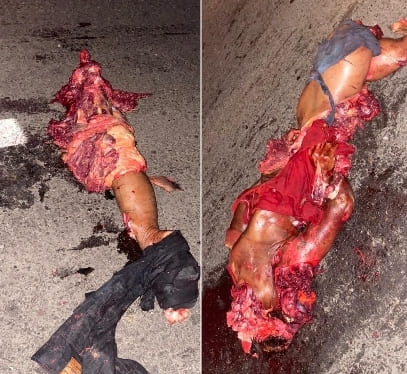 Bicyclist Turned Into Road Kill On Colombian Highway