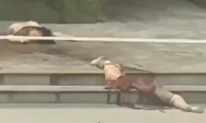 Woman Jumps to Her Death (her body split in half)