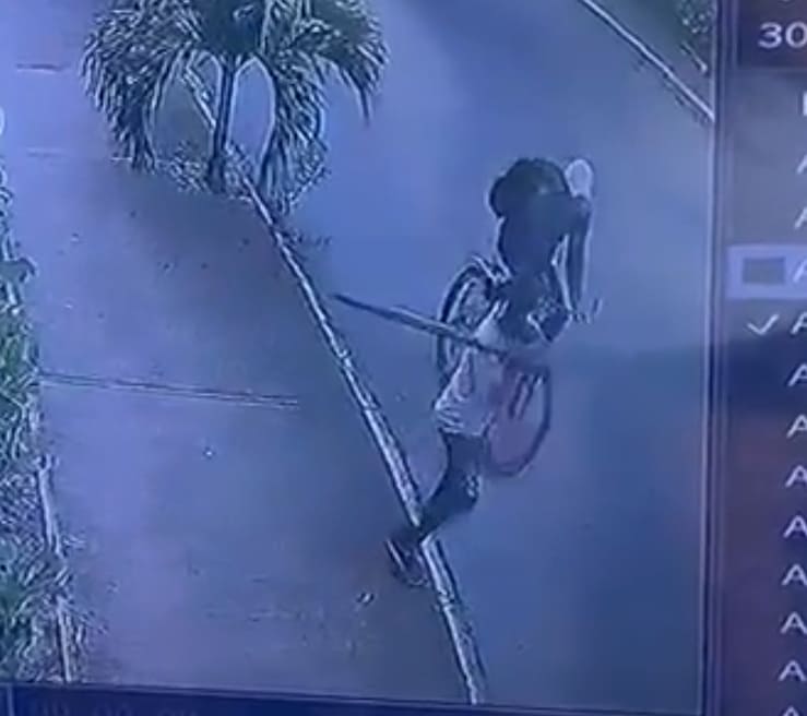 Bicycle Thief Takes A Metal Pole To The Face