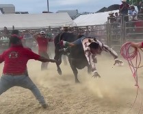 Royally Fucked Up at a Mexican Rodeo.