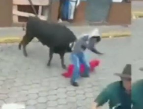 Bull Kills Dude in Ecuador