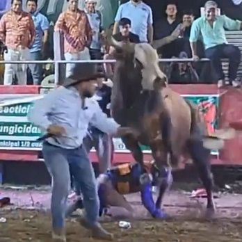 Bullfighters Fucked Up Compilation