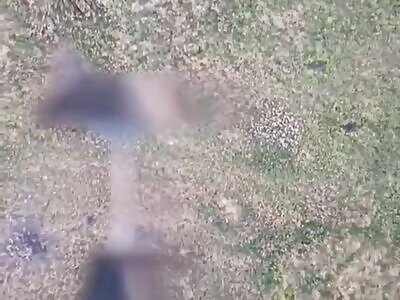 UA drone successfully drops a grenade on a fleeing russian soldier