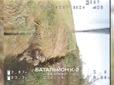 UA kamikaze drones are hunting Russian infantry.