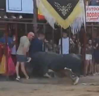 Bald man was brutally injured by bull