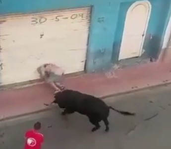 Bulls fucking Spanish victims
