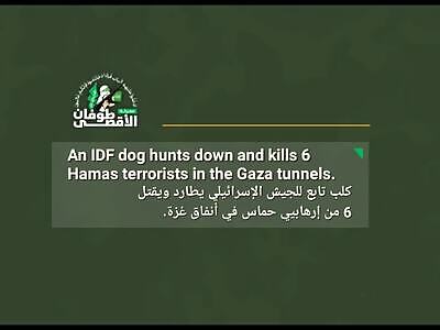 GOPRO FOOTAGE OF IDF's DOG HUNT AND KILL HAMAS TERRORISTS