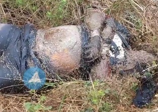 A rotten tied dead body found in the middle of bushes 