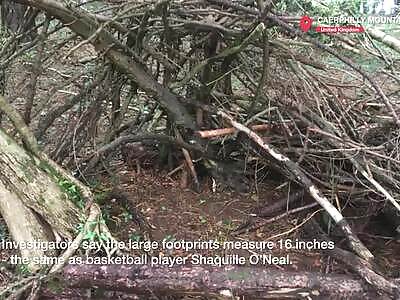 Bigfoot Tracks in Wales