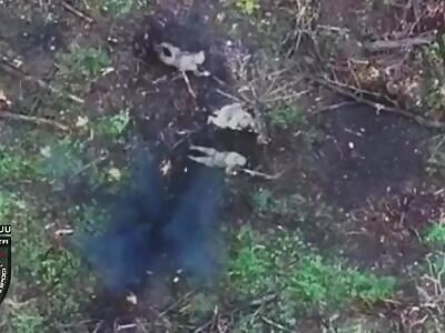 UA drone buries Russian occupiers
