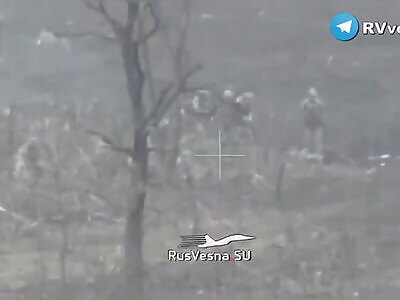 Footage From The Zaporozhye Front 
