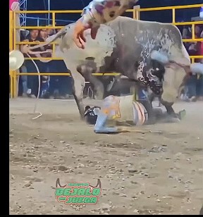 Mexican bullfighters being trampled and torn apart