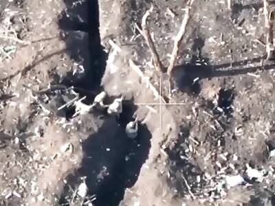 Ukrainian squad neutralised by Russian drone 