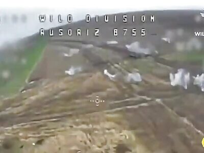  FPV drones hit Russian infantry