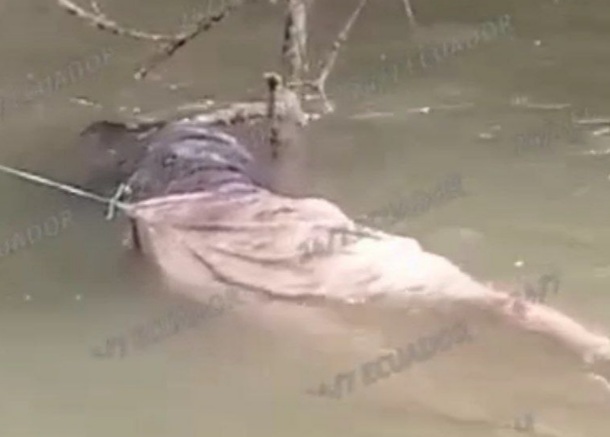 Woman drowned in river 