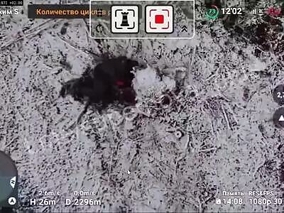 Drone bombing Russian occupiers