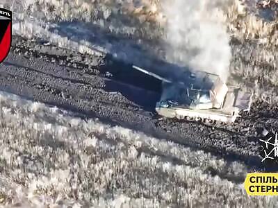 Another russian tank in flames