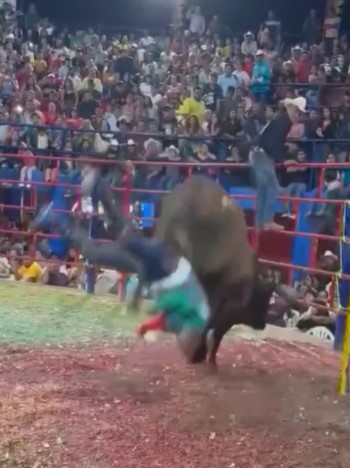 Mexican bull taking revenge on its victims