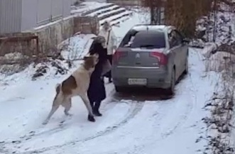 Old woman Attacked by Huge Stray Dog