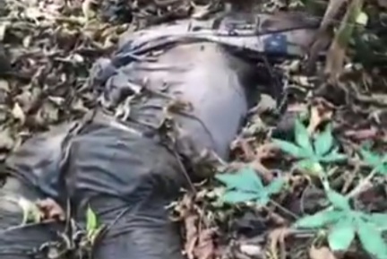 Dead bodies of civilians killed and dumped in forest