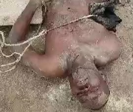 Haitian soldiers killed by gang 