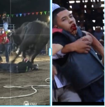 bullfighters being trampled by mexican bull