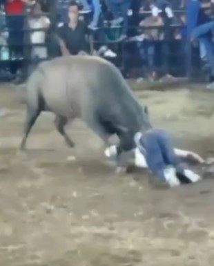 Brutal Bull Attacks At Nicaraguan Rodeos