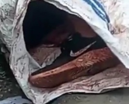 Dismembered body dumped in trash bag 