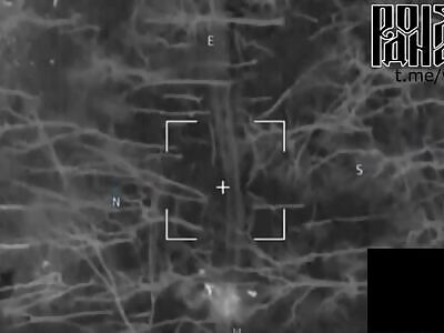 Drone guided artillery destroys AFU squad 