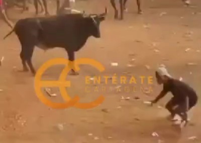 bull killed a young man for going to get some bags of crispetas