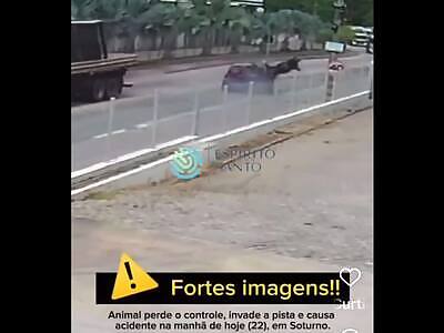 Terrible accident. In Cachoeiro de Itapemirim, Brazil.