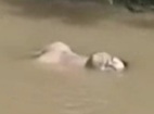 Dead body floating in river 