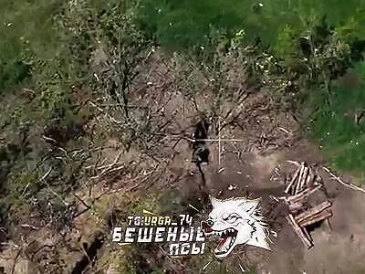 Russian drone evaporates Ukrainian.