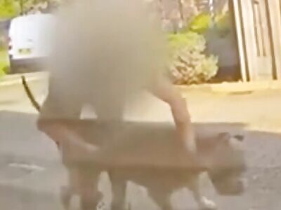 66-Year-Old Woman Gets Attacked by 2 Unmuzzled Dogs