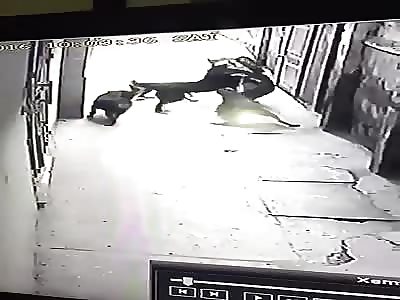 Man Tries to Play with Pack of Dogs Gets Brutally Attacked by Them 