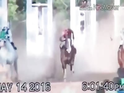 Horse Rider Crashes into Spectator During Race