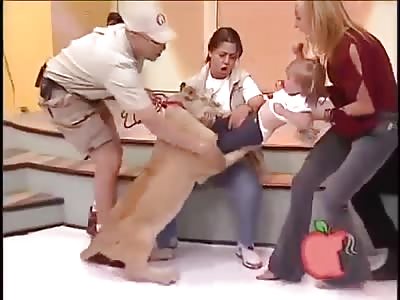 Shocking. Lion Attacks Baby Girl Sitting in Mother's Lap on Live TV