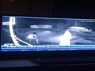 Couple Attacked by Crocodile While Swimming in Hotel Pool (Better Quality)