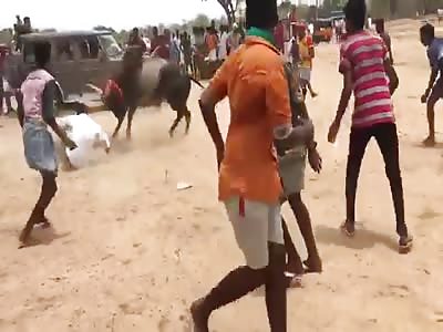 Gored to Death by Bull (Indian Version)