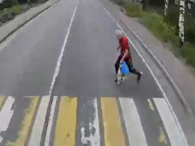 Decides To Cross Road At Wrong Time