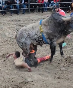 damned bullfighter was stepped on by Death and died in hospital