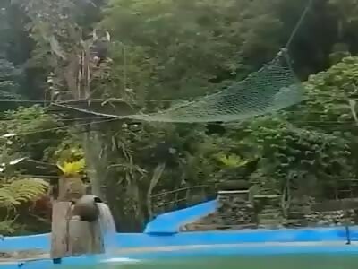 Ziplines are fun and safe