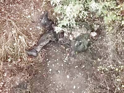 Ukraine Army killing Russians  in Kharkov