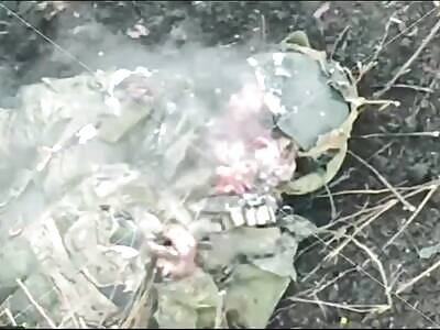 Ukraine Death Comp LXXXVI