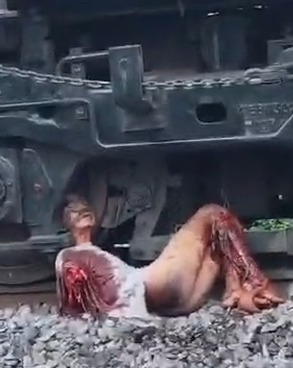 The Walking Death in Line Train