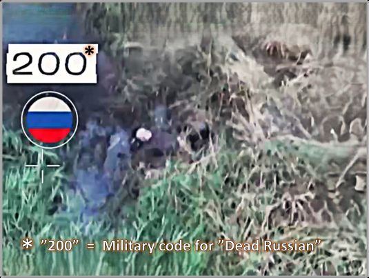 Captivating Ukrainian Drone Attack on Trench System