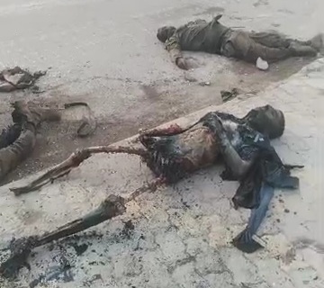 [HORRIFIC FOOTAGE]SYRIAN REGIME SOLDIERS ROTTEN BODIES EATING BY STRAY DOGS 