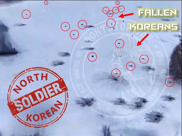 Charging North Koreans Drop Like Flies of Ukrainian Artillery