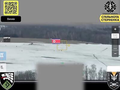 Ukrainian drones kicked the North Koreans' ass